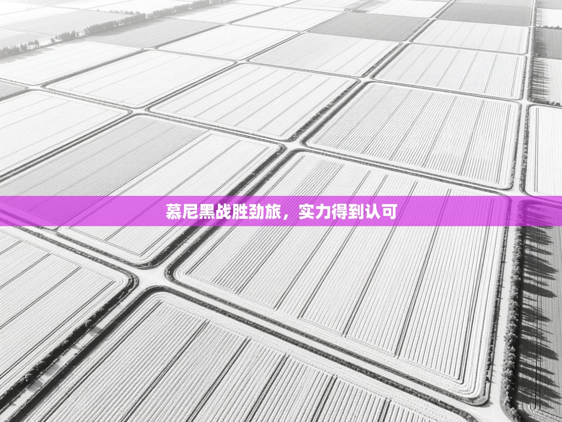 慕尼黑战胜劲旅，实力得到认可  第1张