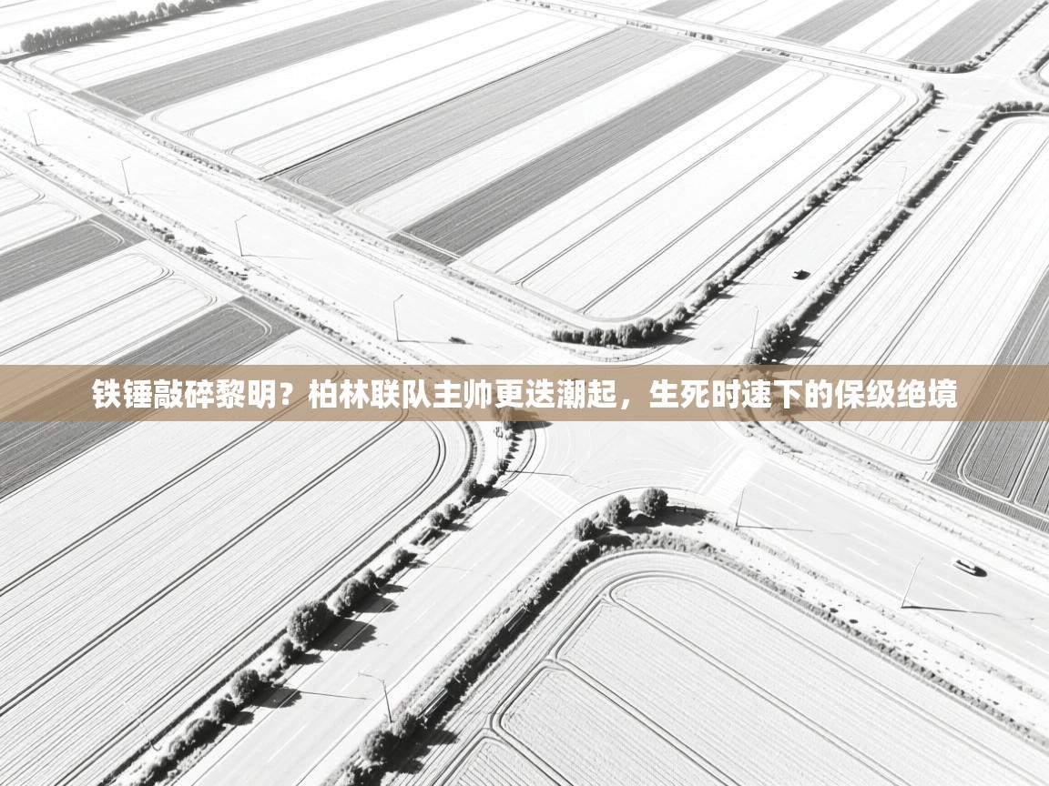 铁锤敲碎黎明?柏林联队主帅更迭潮起,生死时速下的保级绝境 第2张